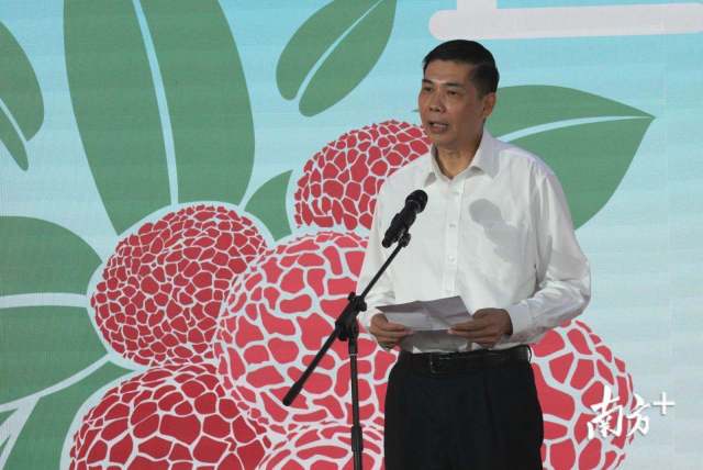 中国南方航空股份有限公司总经济师、中国南航集团文化传媒股份有限公司董事长苏亮