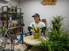 翁源这朵花让逾千人脱贫，还有贫困户学会直播销售|决战决胜脱贫攻坚