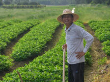 因病致贫的“硬骨头”如何啃？阳江旱地村精准帮扶