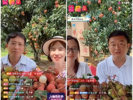 一场直播PK赛卖出55000+单荔枝!茂名出发,世界共享