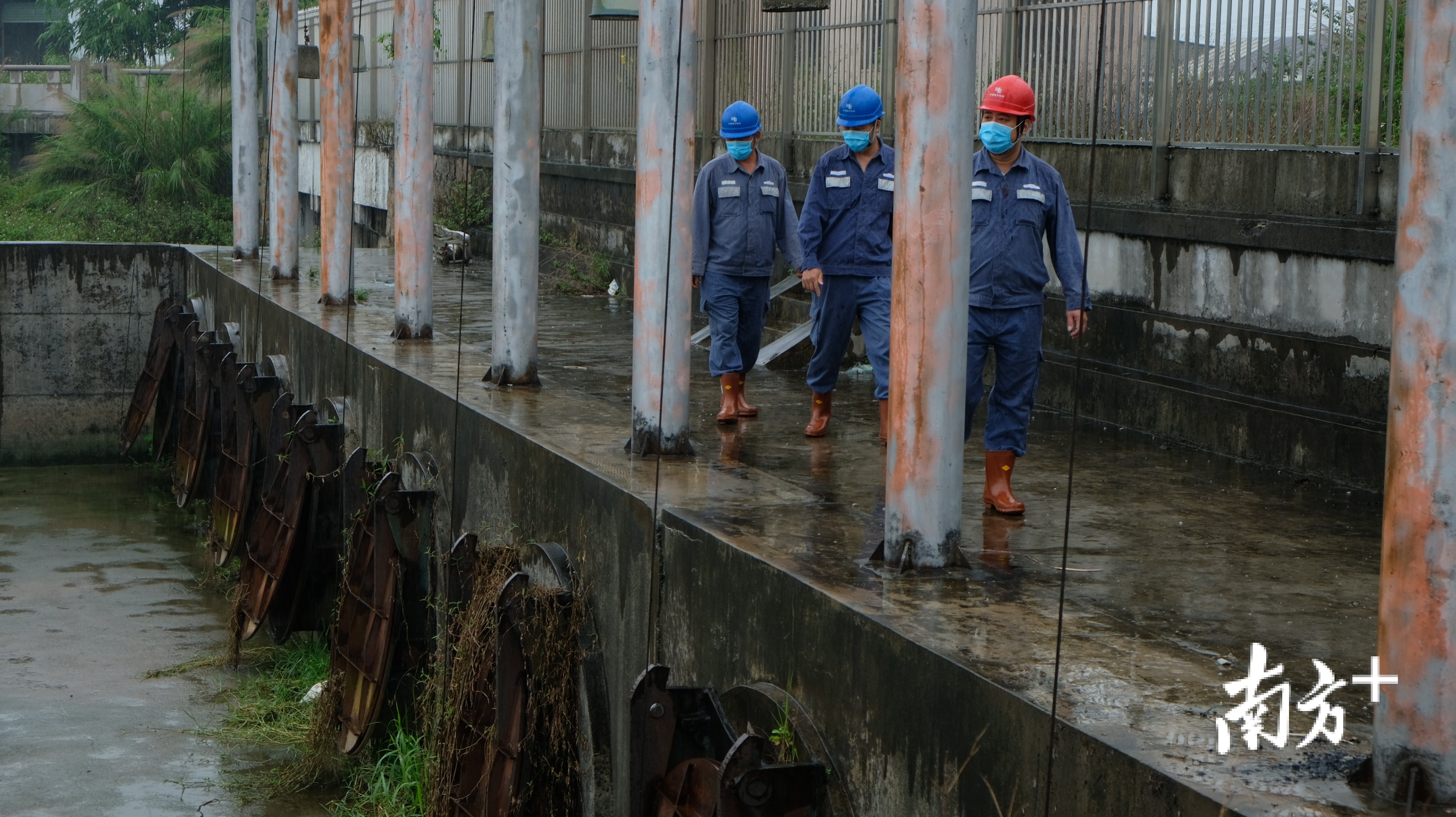揭阳榕城供电局运维人员针对汛期观察水闸水位 林梓博 摄