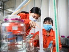 村里的酒出山了！“扶贫酒坊”酿出新机 | 决战决胜脱贫攻坚