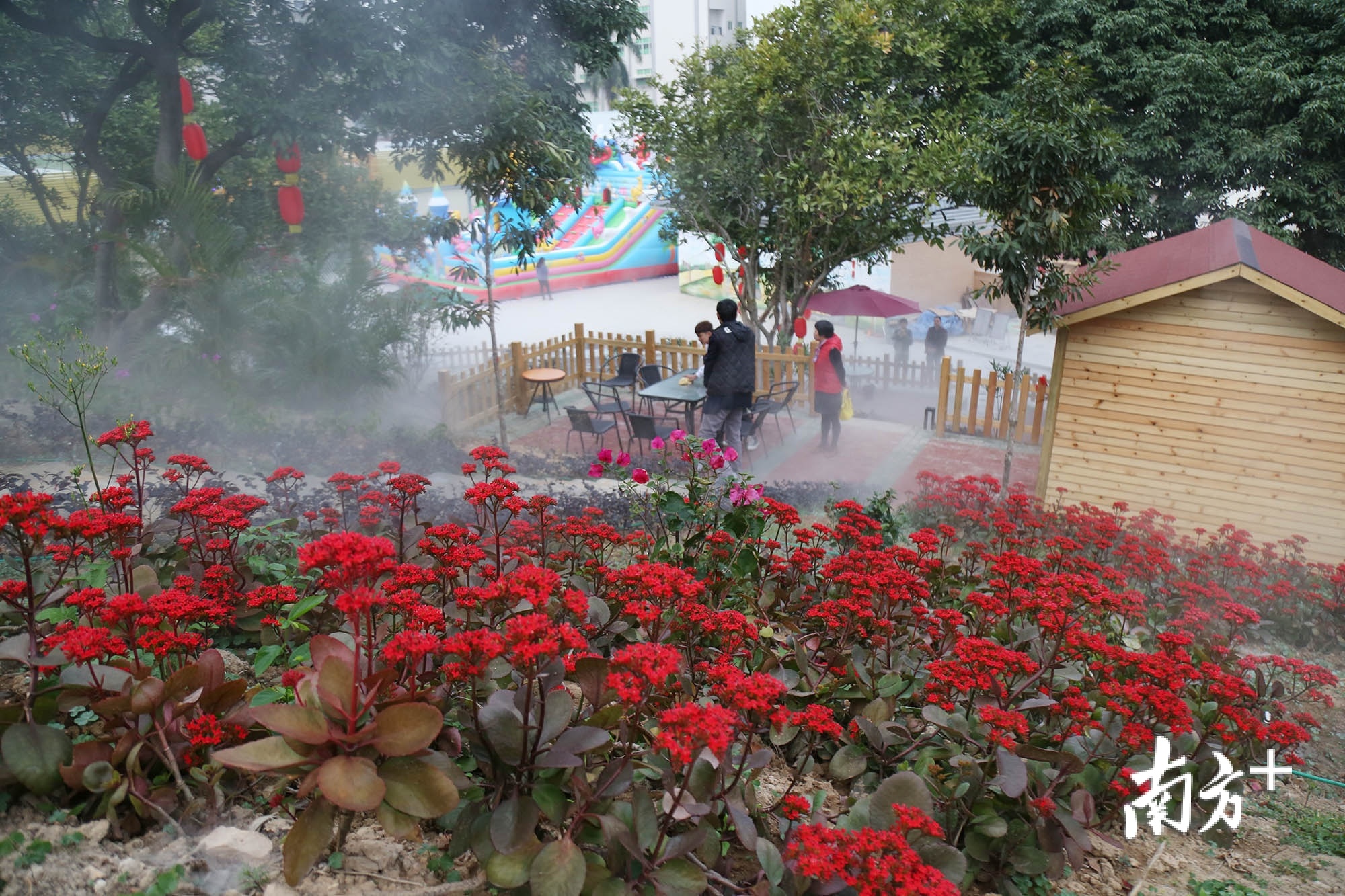 如今的社光村被打造得颇有韵味。 如今的社光村被打造得颇有韵味。