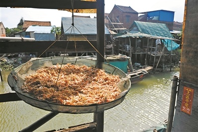 2015年11月,岛上还残留些许水乡风味。 2015年11月,岛上还残留些许水乡风味。