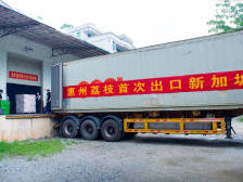 2020年惠州荔枝首次出口新加坡！荔香扬帆远航