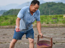 土地上的“绣花”功夫：一条“网红村”的诞生｜决战决胜脱贫攻坚