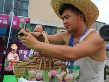 信宜新农人直播卖李成网红，一条视频引来两千万流量