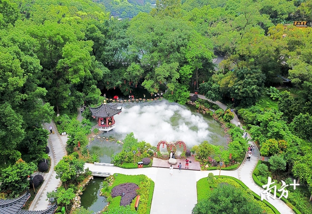 绿树成荫、景色宜人的罗浮山朱明洞景区。南方日报记者 王昌辉 摄