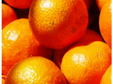 入选“国字号”，肇庆这9个农产品又要火了！