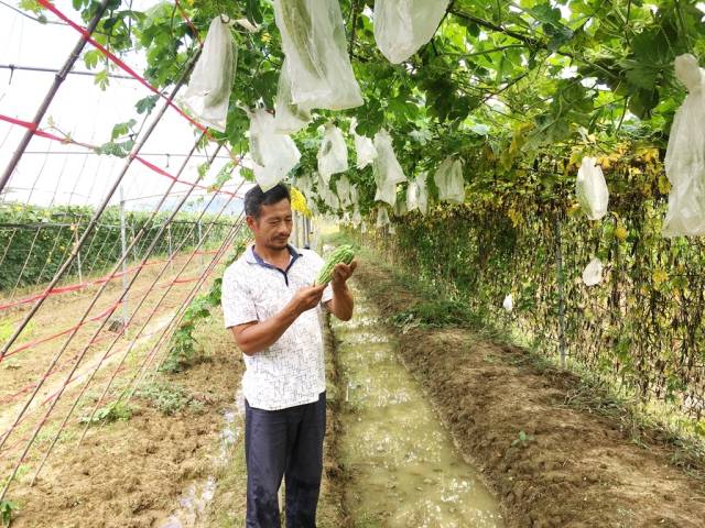 汕头金灶镇桥陈村：荒地变良田旧村换新颜村民露笑脸
