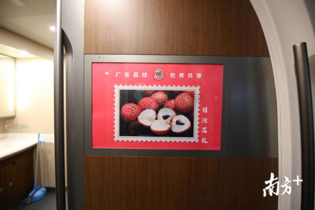 镇隆荔枝登上“广东荔枝”高铁专列，品牌传播更远更广！