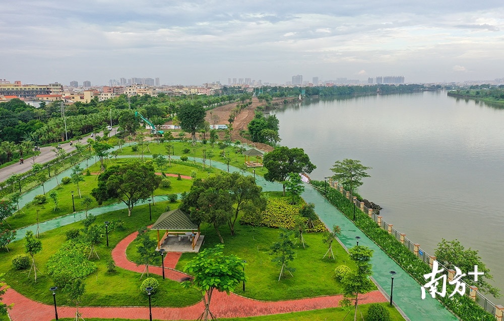 绿动中山|东升:打造岭南水乡型森林小镇