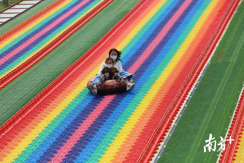 游客在盈香生态园游玩。盈香生态园供图