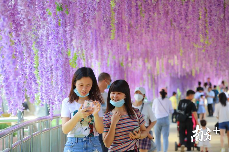 游客在盈香生态园游玩。盈香生态园供图