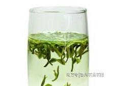 神山茶业冷泡茶明日直播开抢