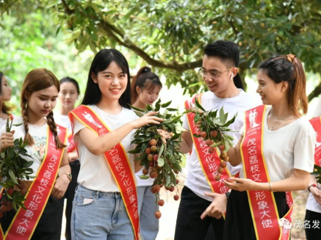 摘荔枝尝佳果,品古荔文化!荔枝文化形象大使晋级选手打卡电白贡园