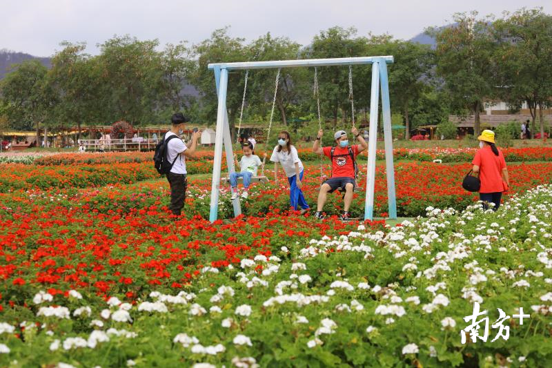 游客在盈香生态园游玩。盈香生态园供图