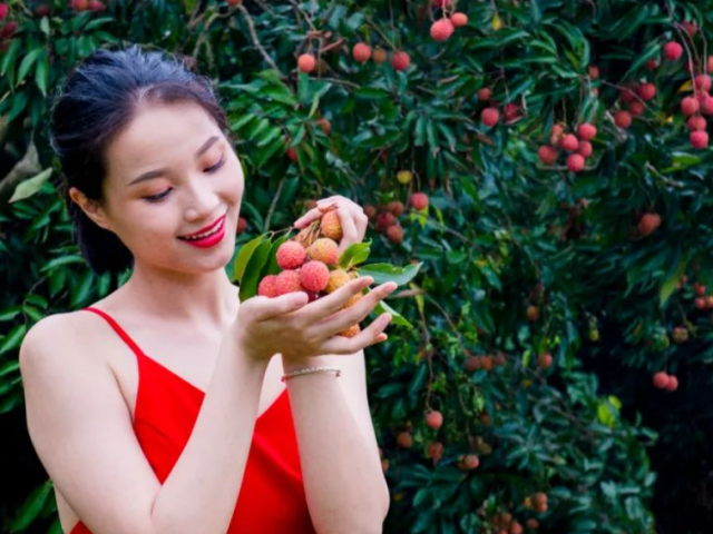 惠州荔枝带着积攒了一年的甜美来了!