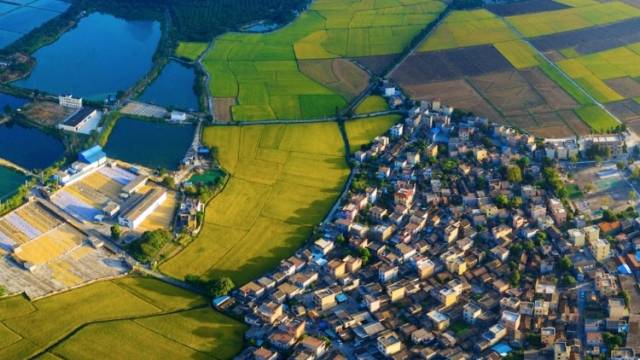 扶贫又扶智，中山市委组织部联合帮扶肇庆儿童