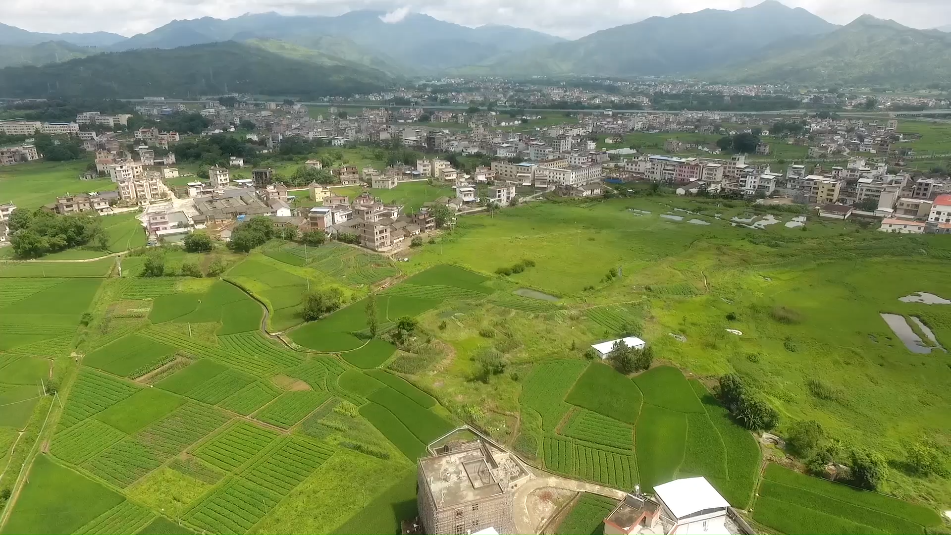 "见证河源山乡巨变"⑤ 连平油溪富乐村:温氏养鸡让村集体收入年年攀升