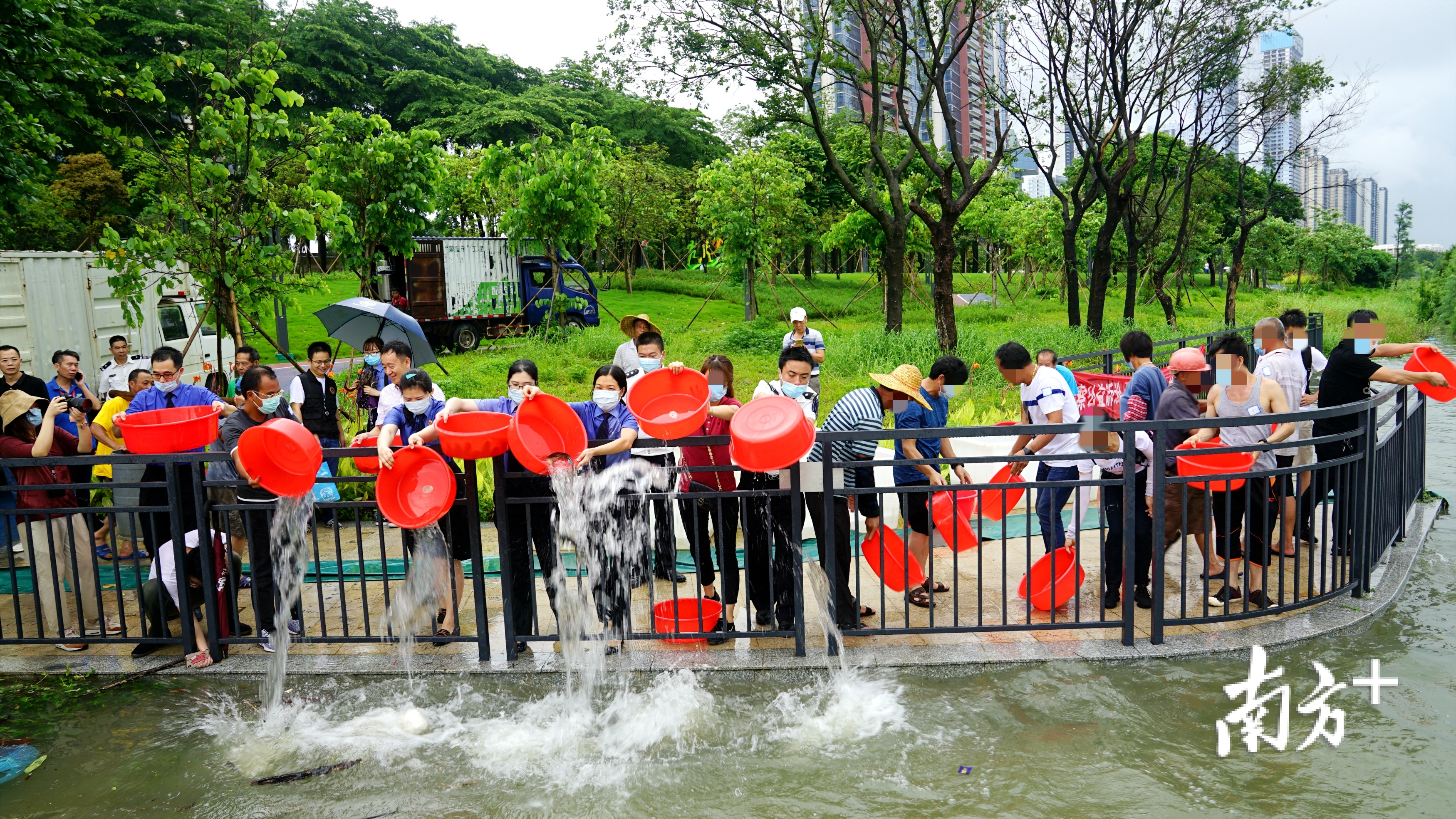 此次活动共放生鱼苗11万余尾，顺德区部分人大代表和政协委员临场监督指导。