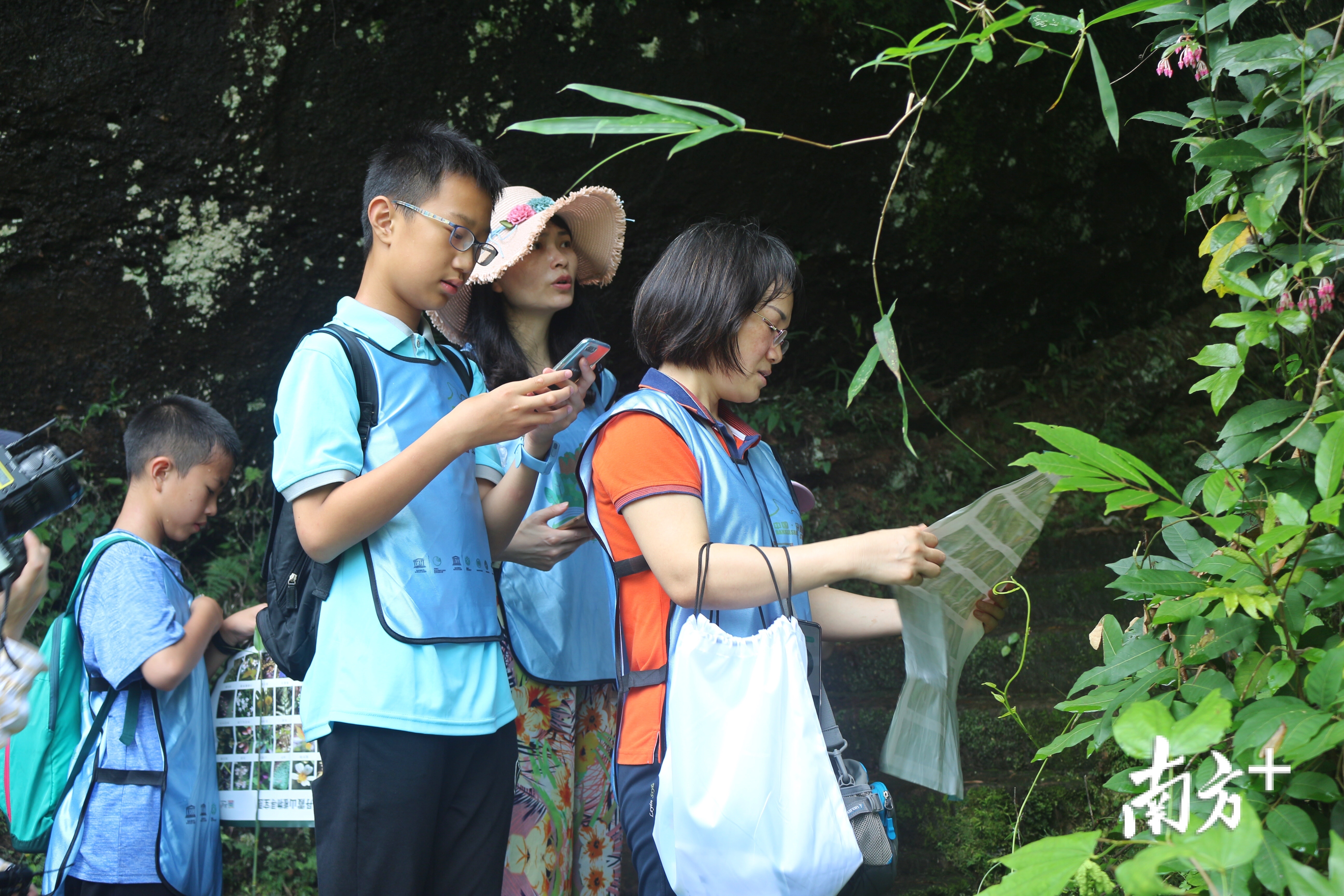 第一届丹霞山野生植物辨认大赛。李贵清 摄