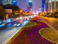 我与特区40年 | 我的青春，在深南大道上绽放