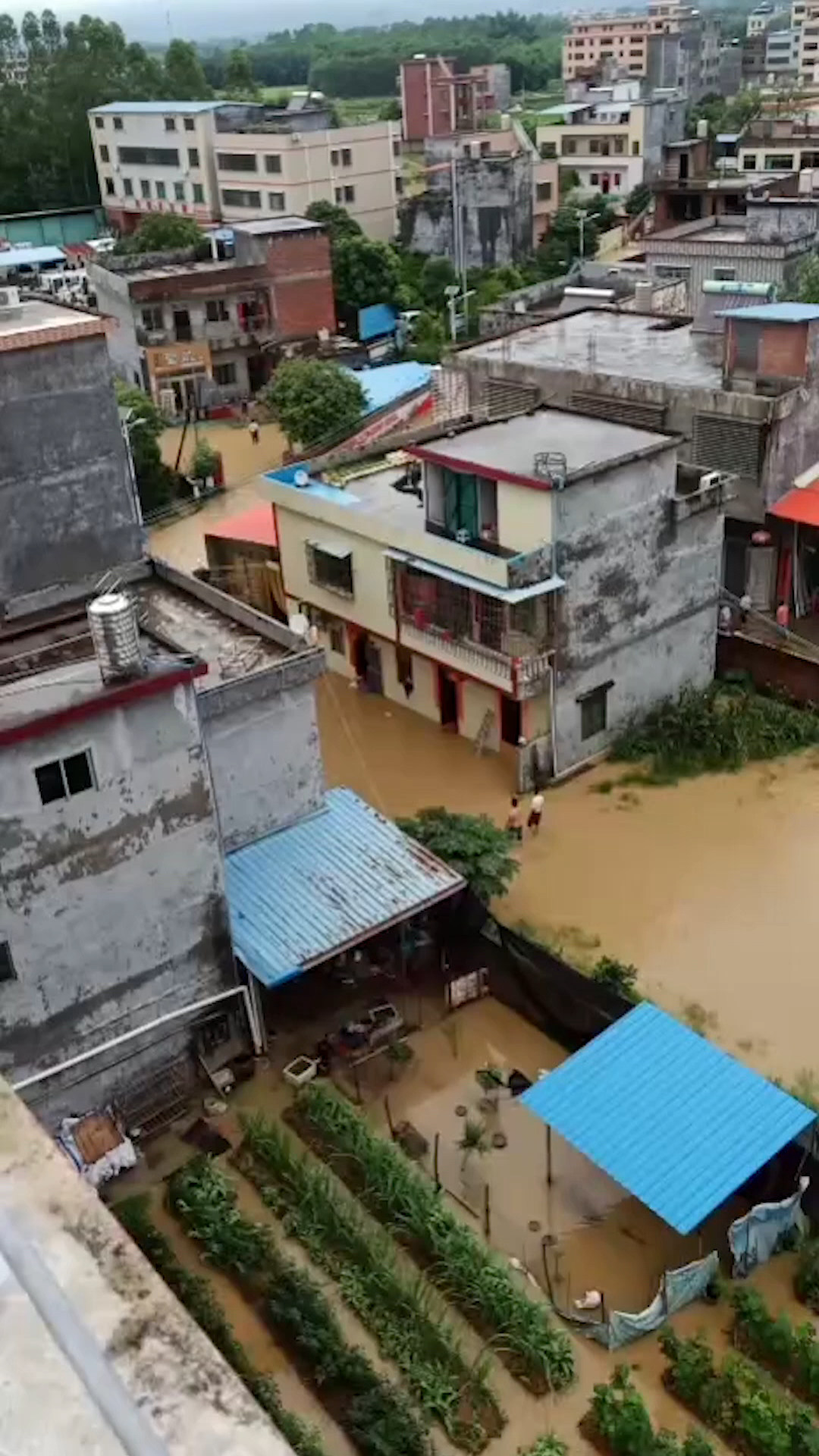 惠州龙门连日暴雨致多地洪灾,武警出动铲车转移群众