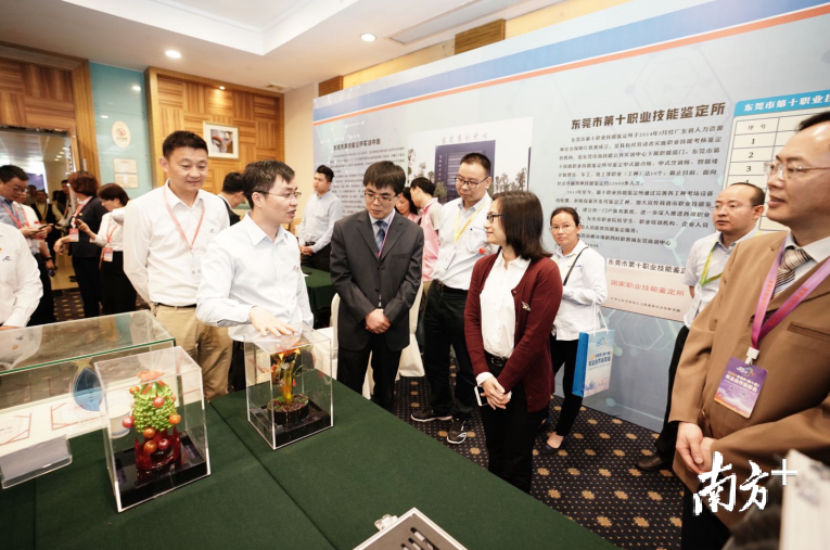 2019年东莞市1066家重点企业与来自粤港澳大湾区乃至全国各地的210家院校进行现场洽谈交流