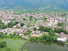 南方日报报道|云浮新兴县内东村：“土地流转+产业扶贫”让村民增收