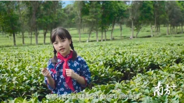 广东人游广东，粤游越健康！“文化和自然遗产日”广东文旅大餐已备好！