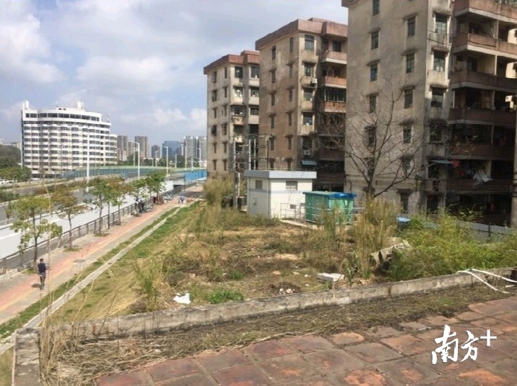 改造前的荒地。通讯员供图 改造前的荒地。通讯员供图