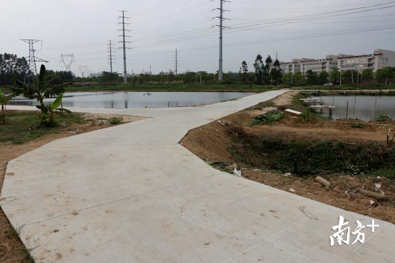 沙田镇福禄沙村2018年度高标地块