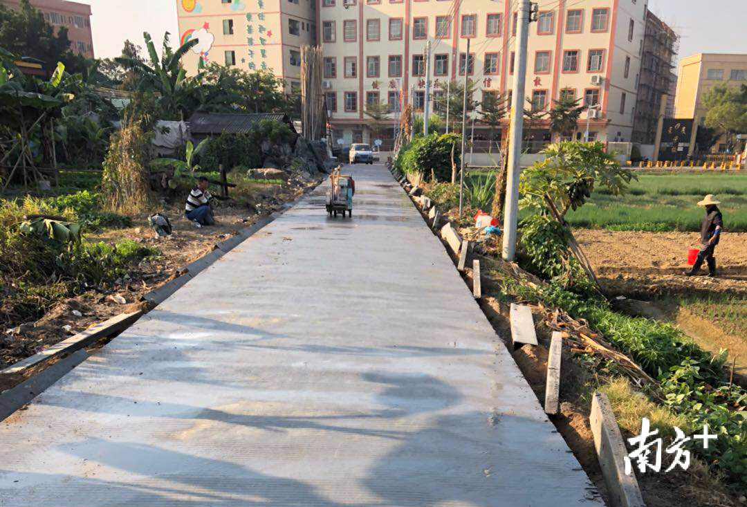 中堂镇湛翠村2018年度高标地块