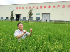 我的特区故事| 他是全国种粮大户，过去“用手种田”，现在“用脑种田”