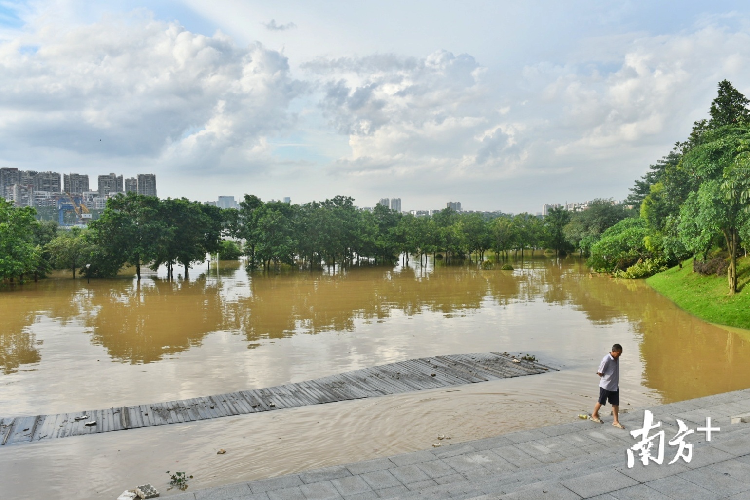 由于近几天连续雷暴雨,西江2020年第1号洪水生成,佛山迎来2008年以来