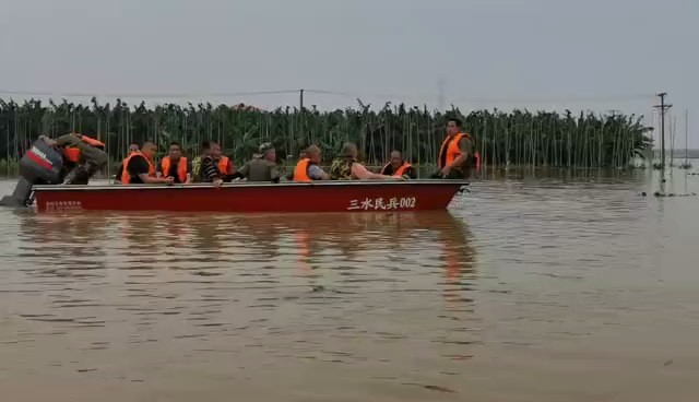 視頻丨持續救援8小時!三水民兵駕衝鋒舟轉移超600群眾