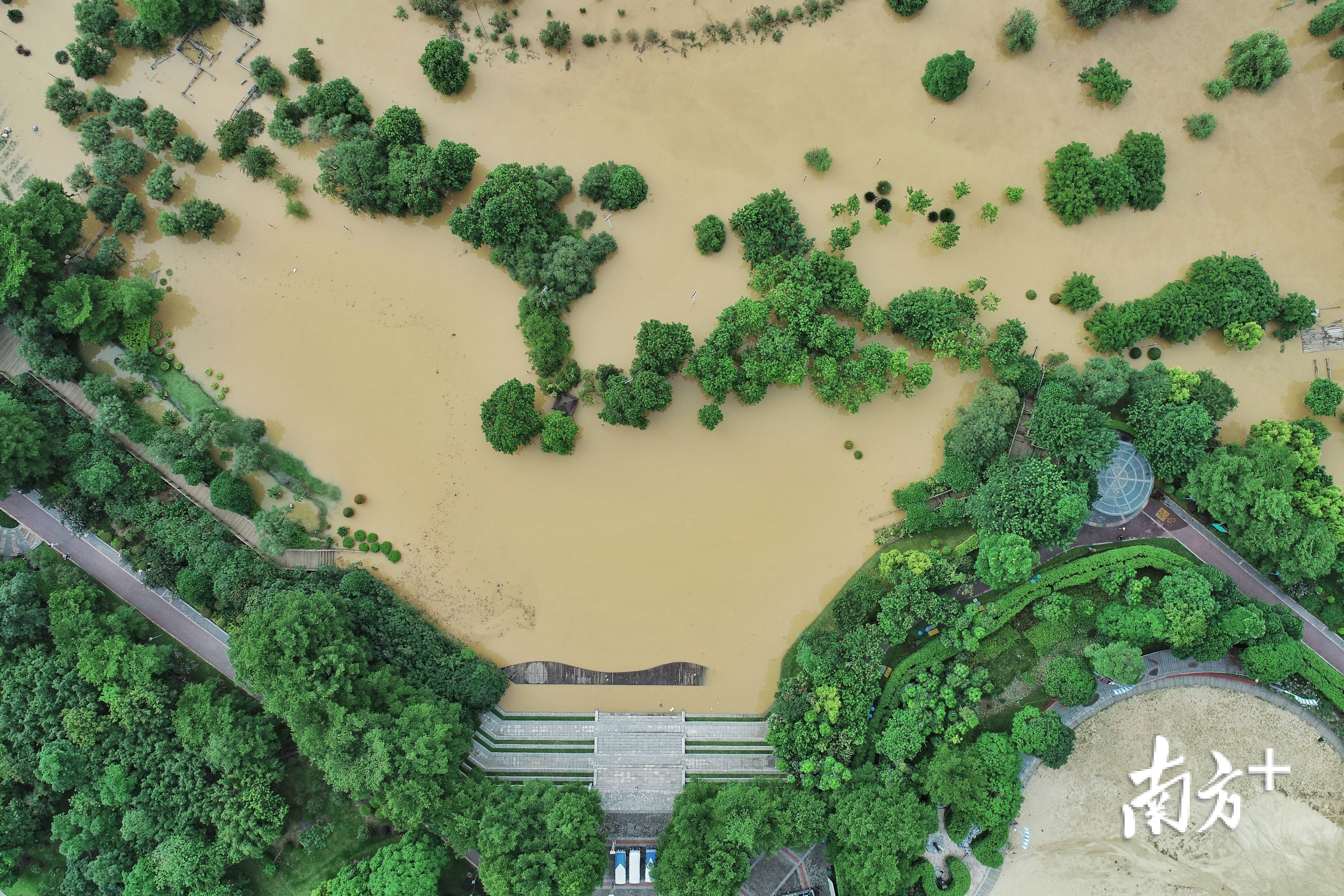 洪峰过境佛山，东平河两岸滨河景观带公园因水位上涨被淹。