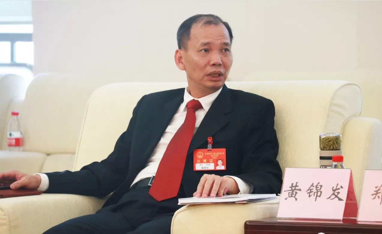 市人大代表，茶山镇委副书记、镇长黄锦发