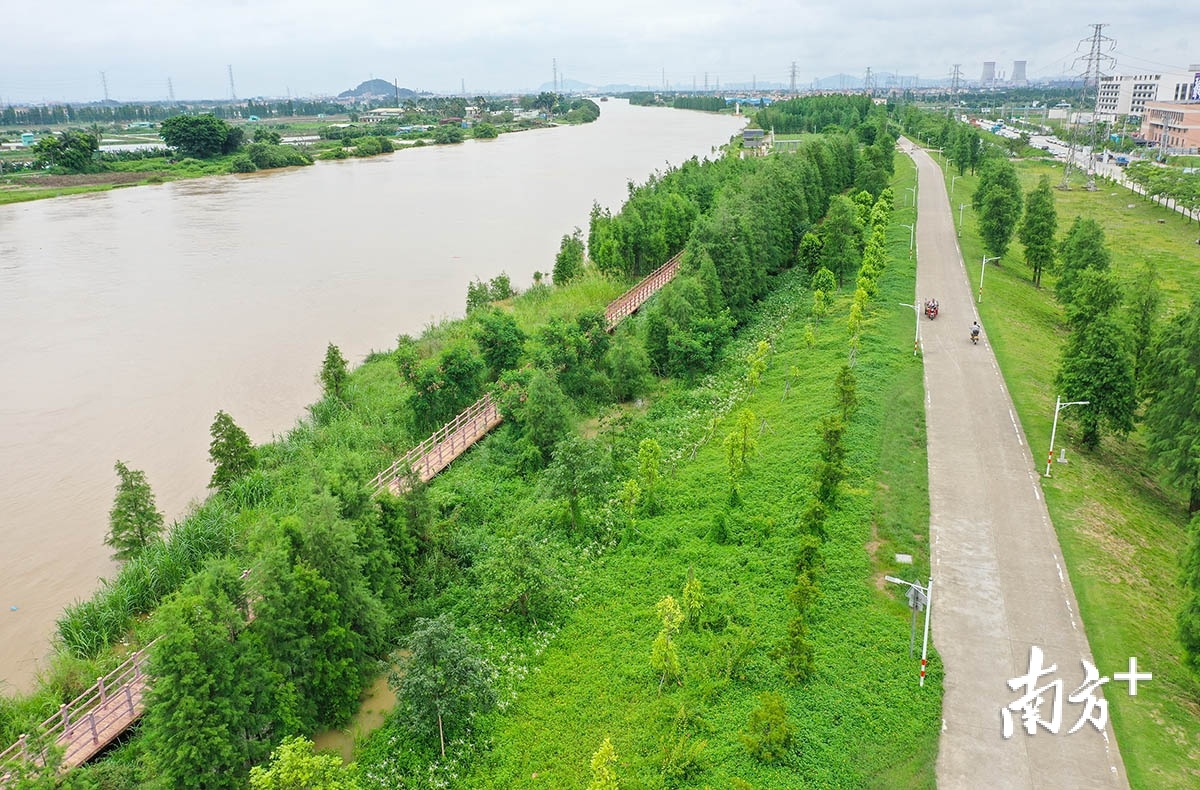 夏日里中山市三角镇金鲤湾生态湿地公园一处动人的景色。