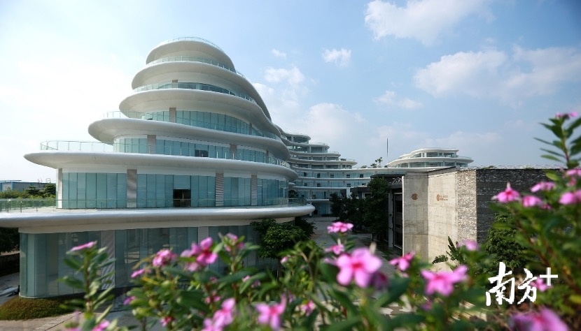 厚街楷模工改工项目。 厚街楷模工改工项目。