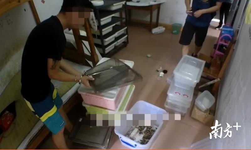 犯罪嫌疑人黄某泽被中山三乡警方抓获。