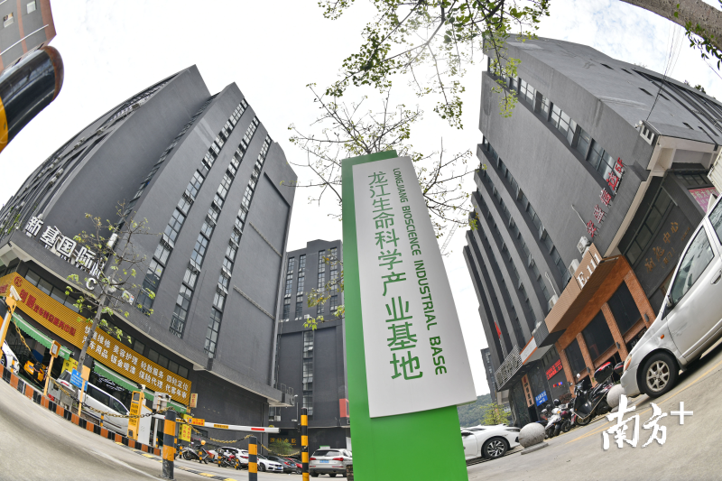 全新空间载体为顺德凝聚着产业新动能。图为龙江生命科学产业基地。南方日报记者 戴嘉信 摄 全新空间载体为顺德凝聚着产业新动能。图为龙江生命科学产业基地。南方日报记者 戴嘉信 摄