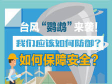 一图读懂丨台风“鹦鹉”来袭，我们应该如何防御？