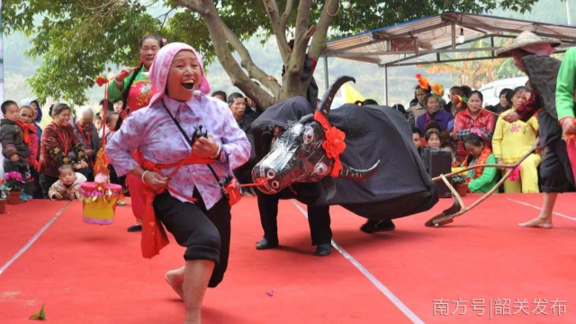 【韶关非遗】舞春牛:富有乡土气息和地方特色的传统舞蹈