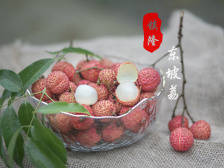 “东坡荔”品牌logo正式发布！依托镇隆镇将覆盖惠州市