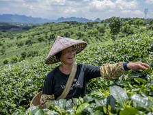 这，就是广东人的小康生活