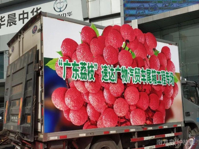 国企助农新渠道,消费者实惠价吃上特级广东荔枝