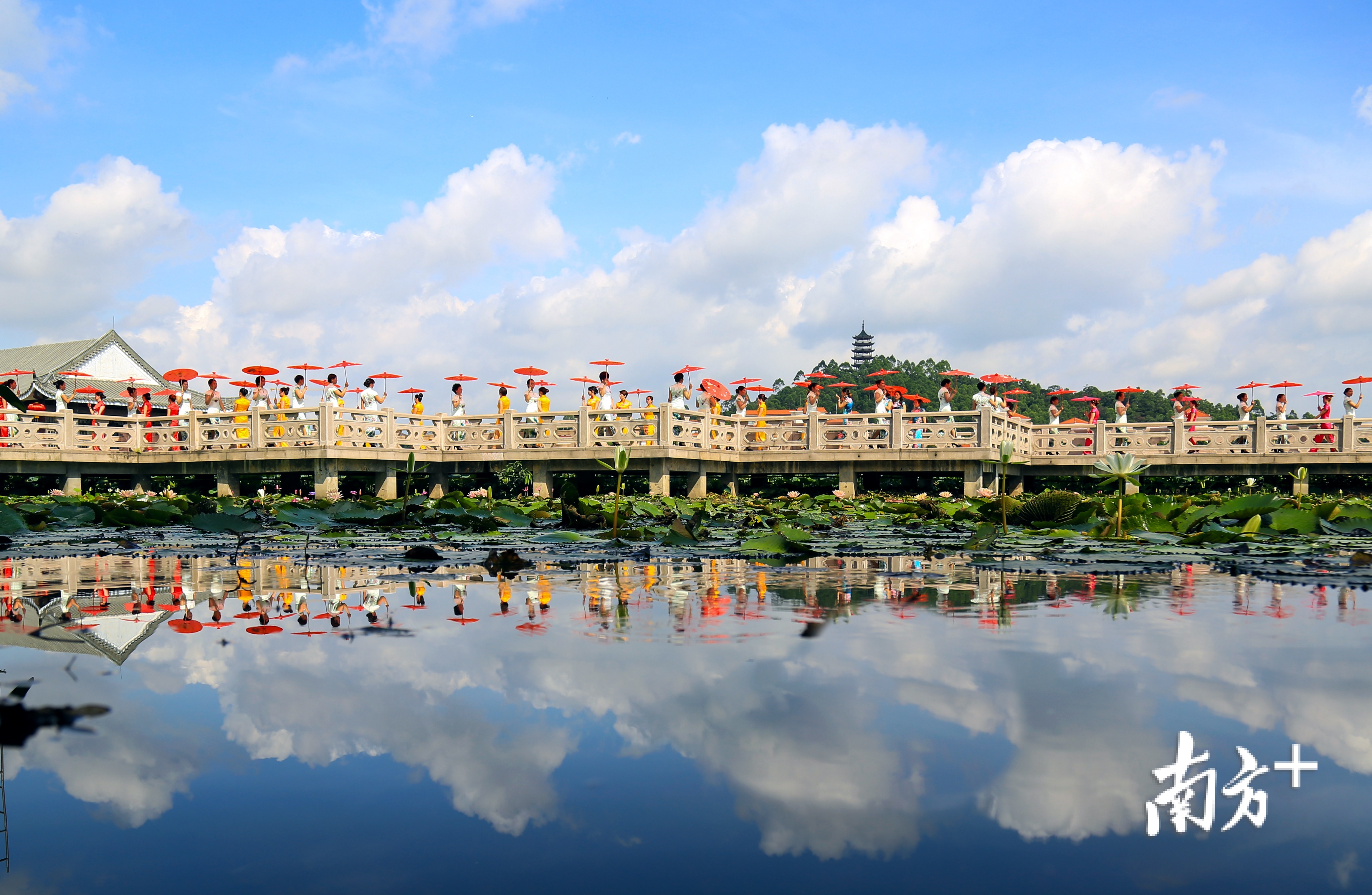 6月18日上午9:00—12:00，桥头将在莲湖风景区木栈道、凌波阁举行第十七届东莞桥头荷花节开幕式暨桥头镇直播带货活动。