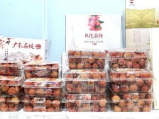 老嗲各！广东荔枝与上海许下甜蜜约定